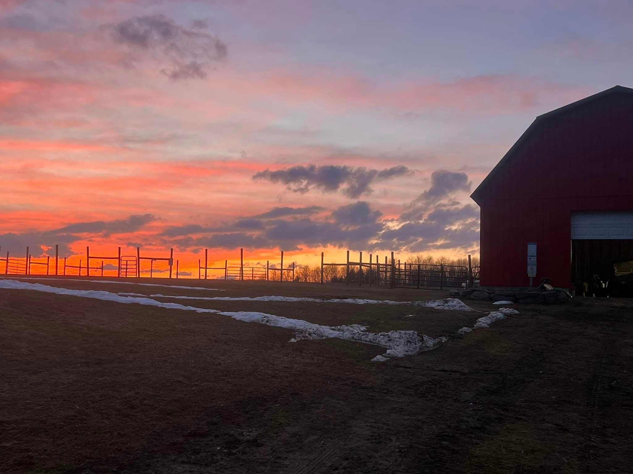 About | Alpacas of Windy Haven Farm 153 Center Street Covington